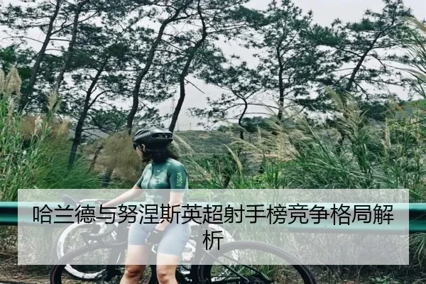 哈兰德与努涅斯英超射手榜竞争格局解析